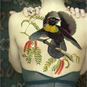 backpiece8
