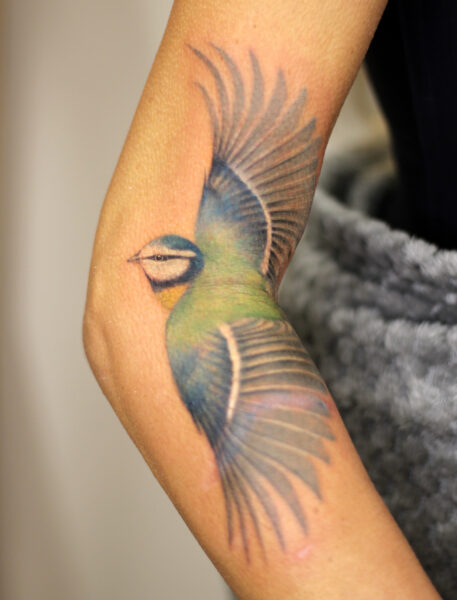 blue_tit