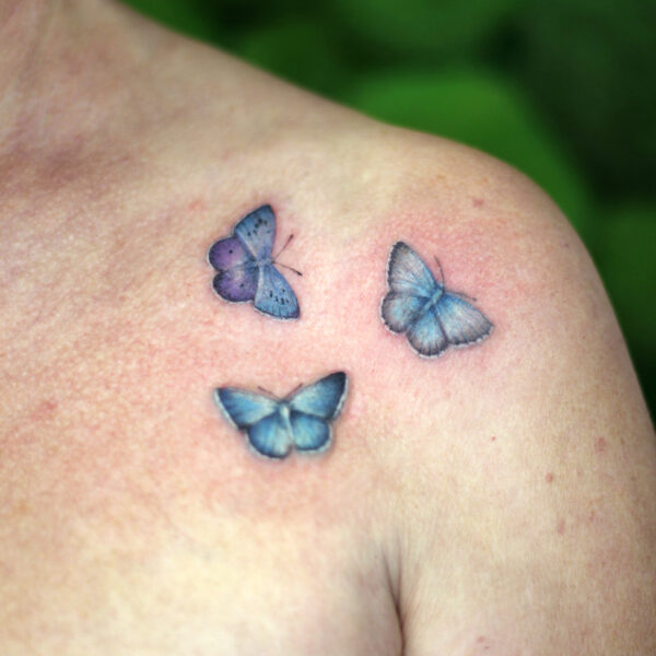 butterflies