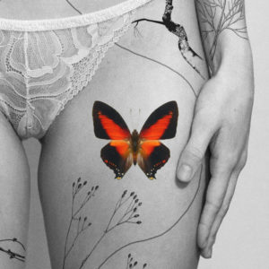 charaxes zinghaviz