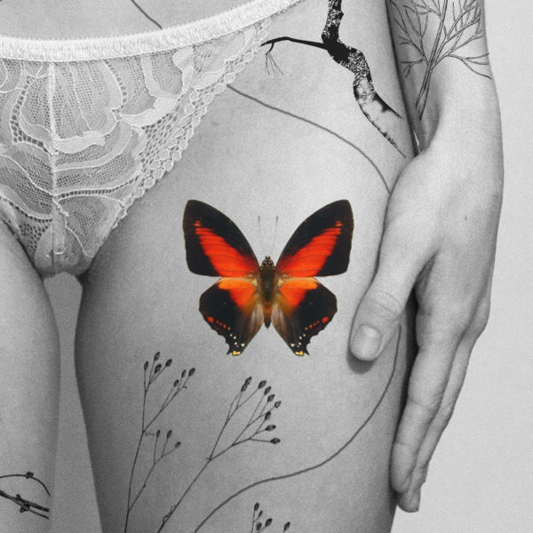 charaxes zinghaviz
