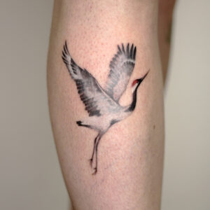 crane