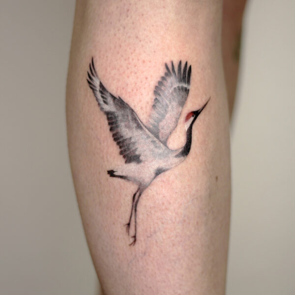 crane