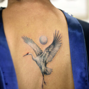 crane_moon