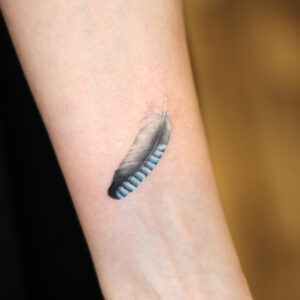 feather