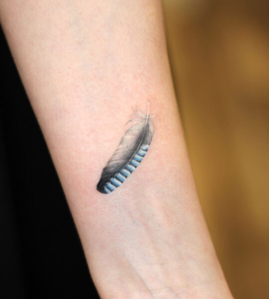 feather