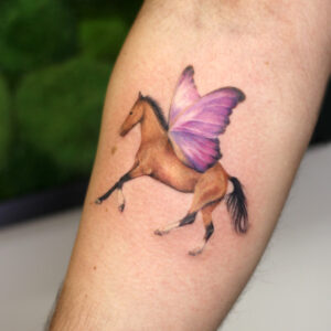 horse