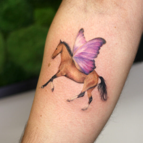 horse