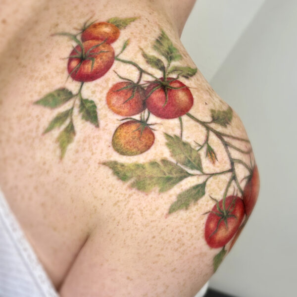 tomatoes